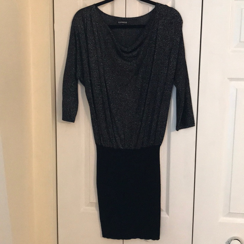 Express fitted sequin dress.